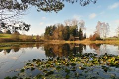 Seerosenteich im Herbst