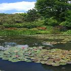 Seerosenteich von Claude Monet in GIVERNY