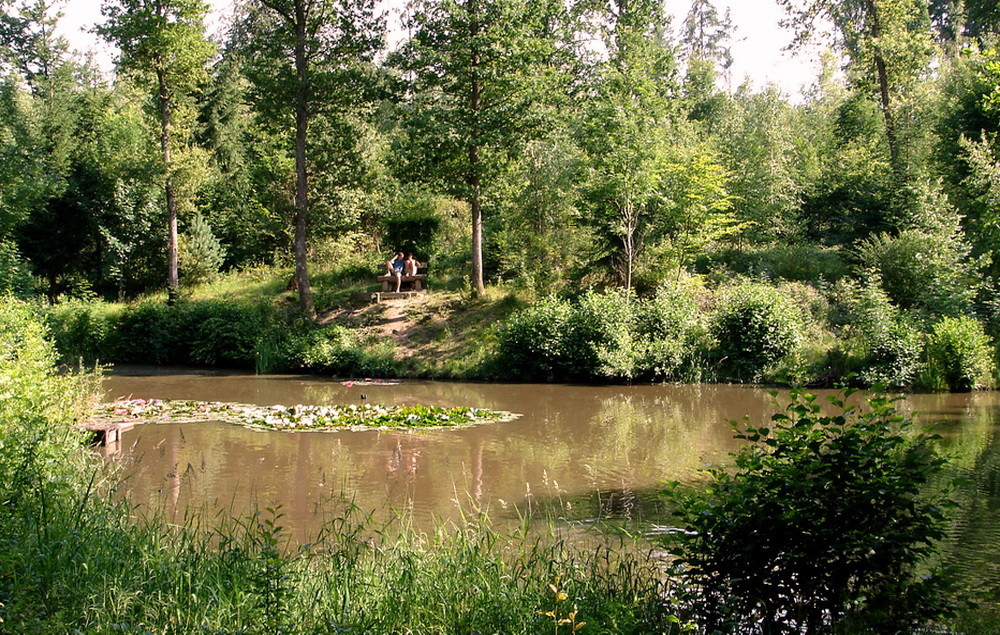 Seerosenweiher im Schönbuch