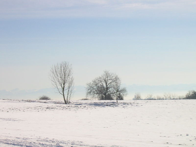 Seerücken des Bodensees im Winter