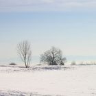 Seerücken des Bodensees im Winter