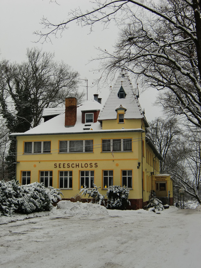 Seeschloss im Winter