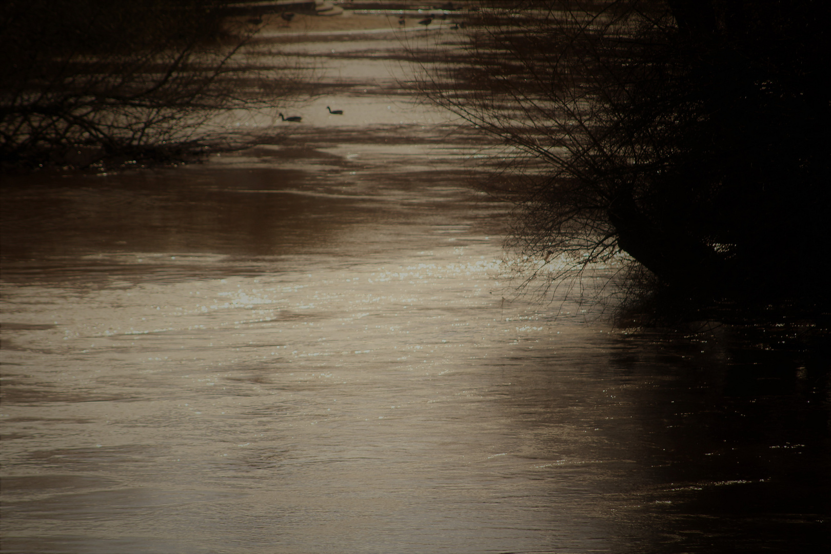 Seeseite im Gegenlicht