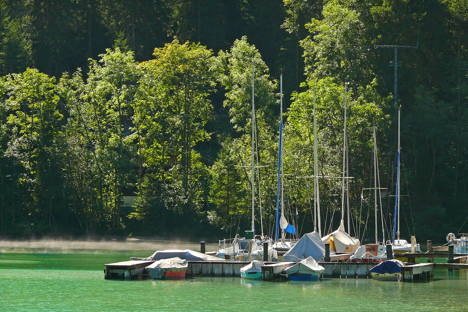 Seespitze am Plansee (Tirol)