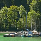 Seespitze am Plansee (Tirol)