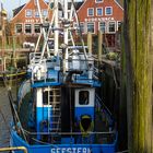 Seestern Neuharlingersiel