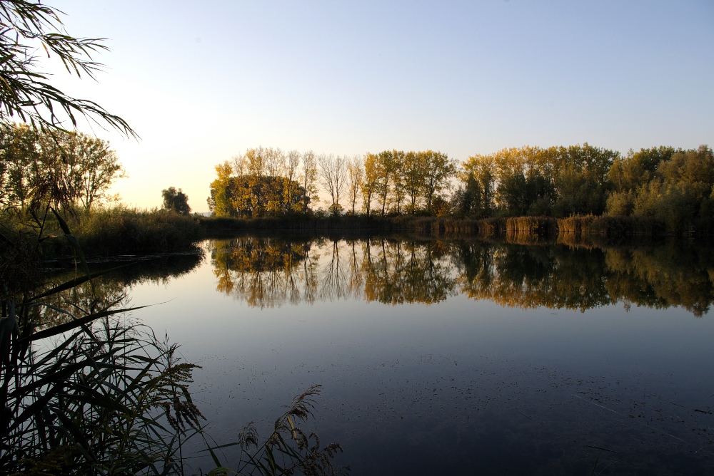 Seestimmung im Herbst