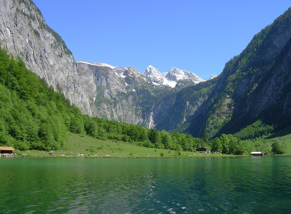 Seeufer am Königssee