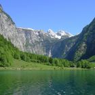 Seeufer am Königssee