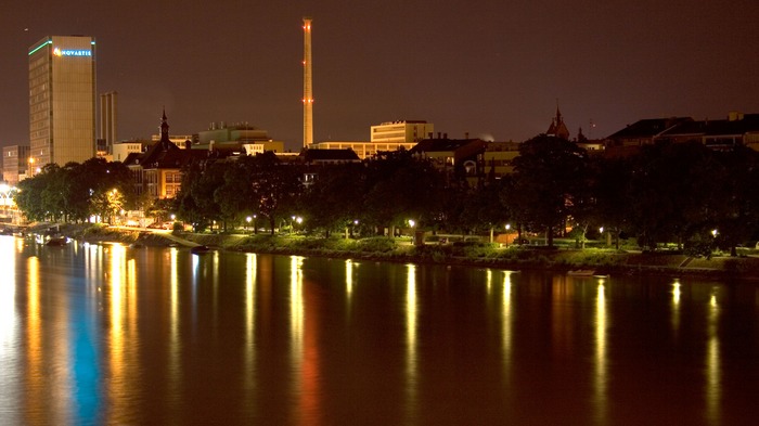 Seeufer am Rhein (Basel)