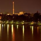 Seeufer am Rhein (Basel)