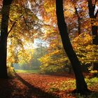 Seeufer am Wambachsee im Herbst