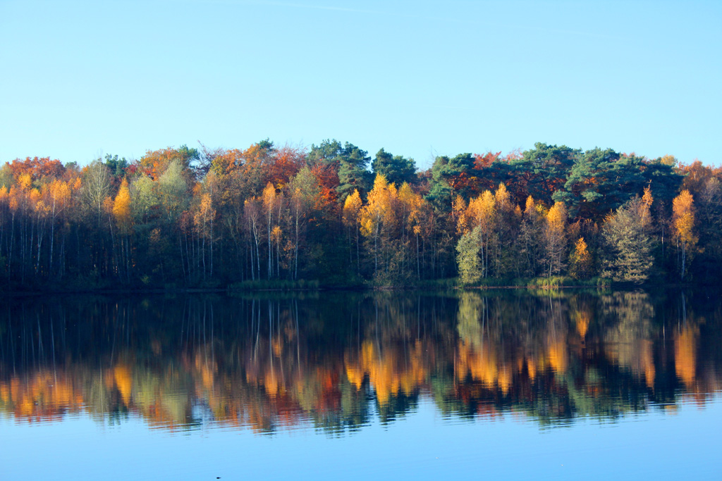 Seeufer am Wolfssee in Duisburg im Herbst