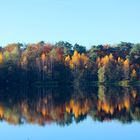 Seeufer am Wolfssee in Duisburg im Herbst