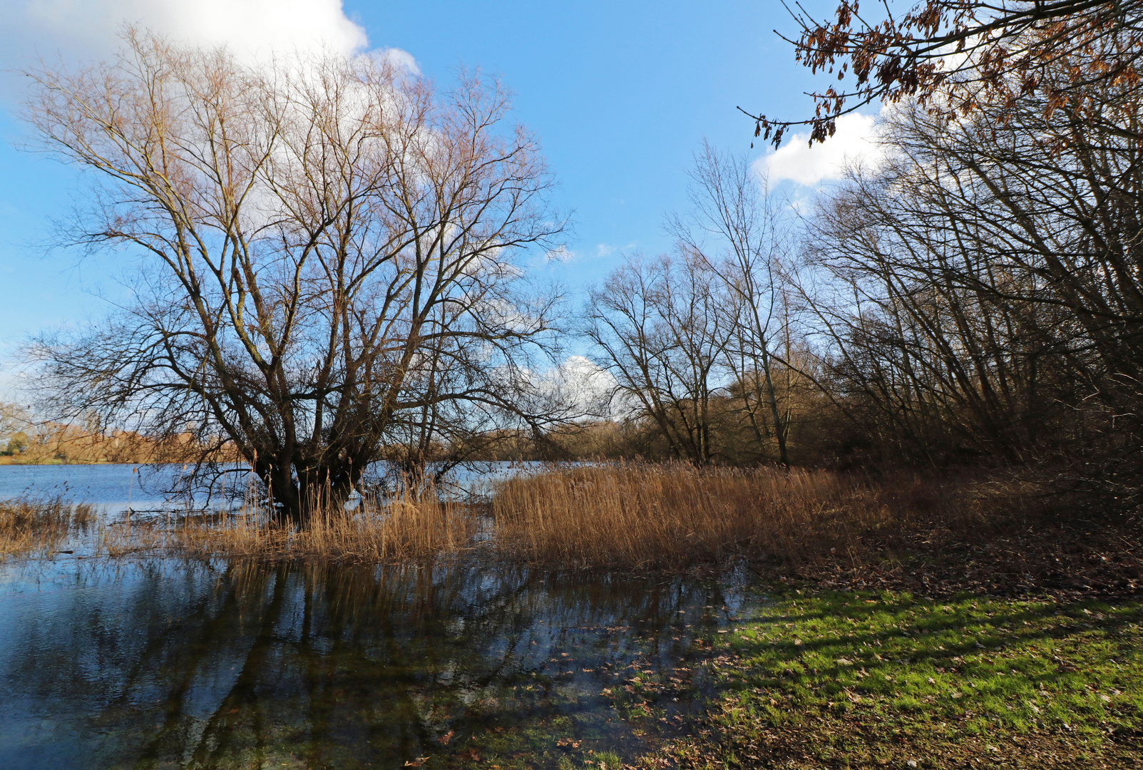 Seeufer bei Hochwasser 