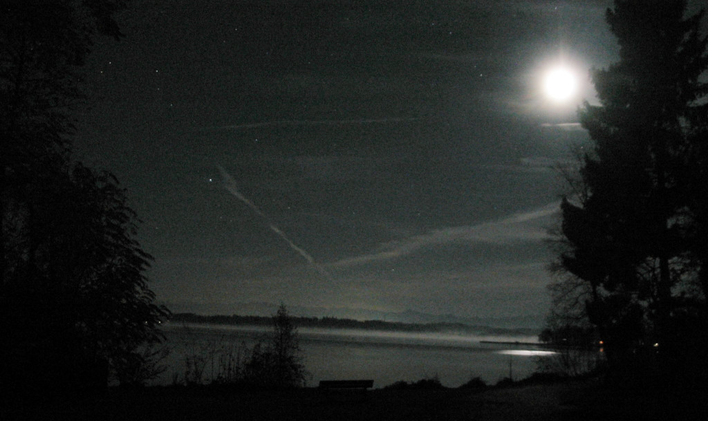 Seeufer bei Nacht im Mondlicht