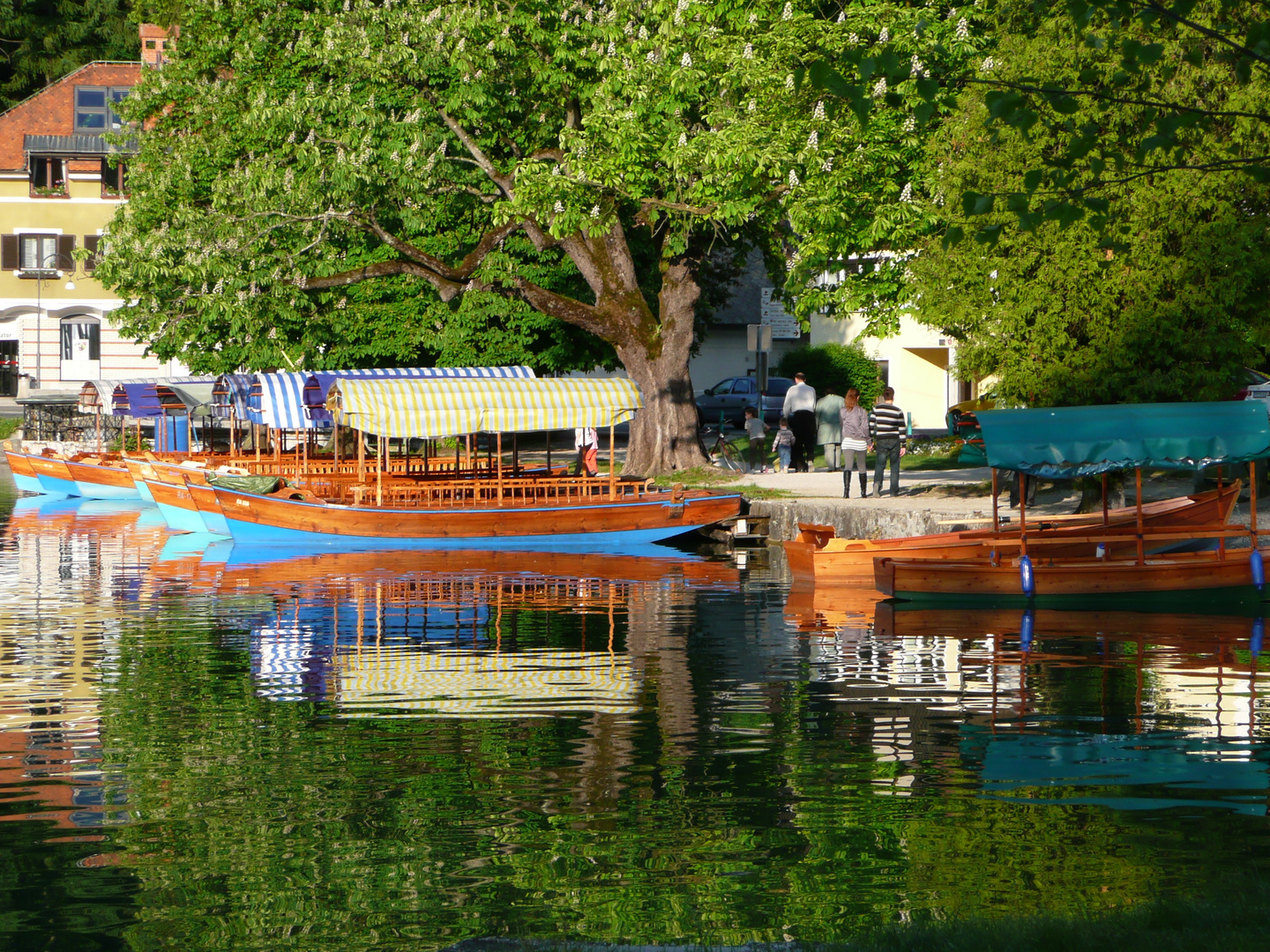 Seeufer Bleder See - Slowenien