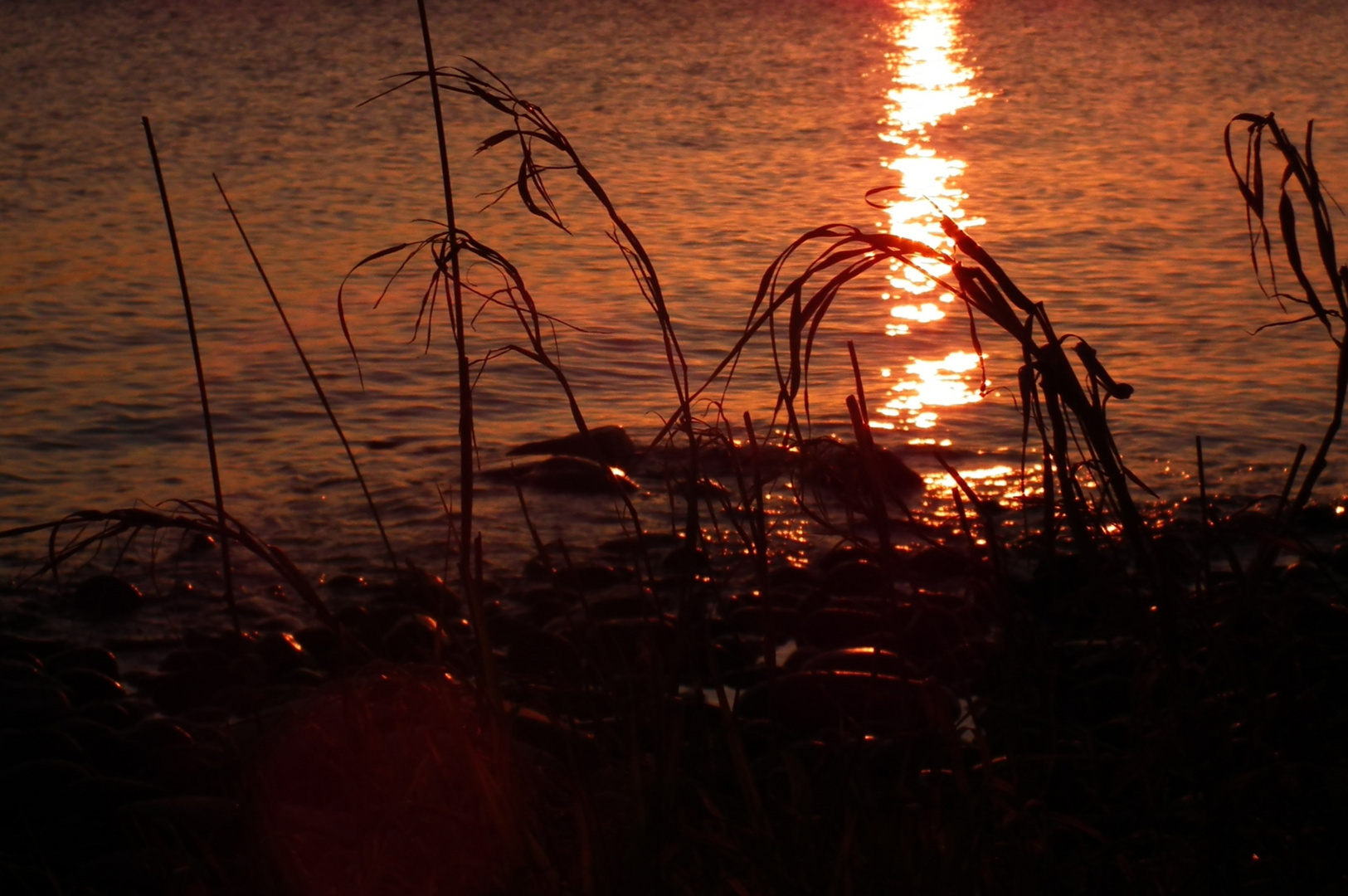 Seeufer im Abendlicht