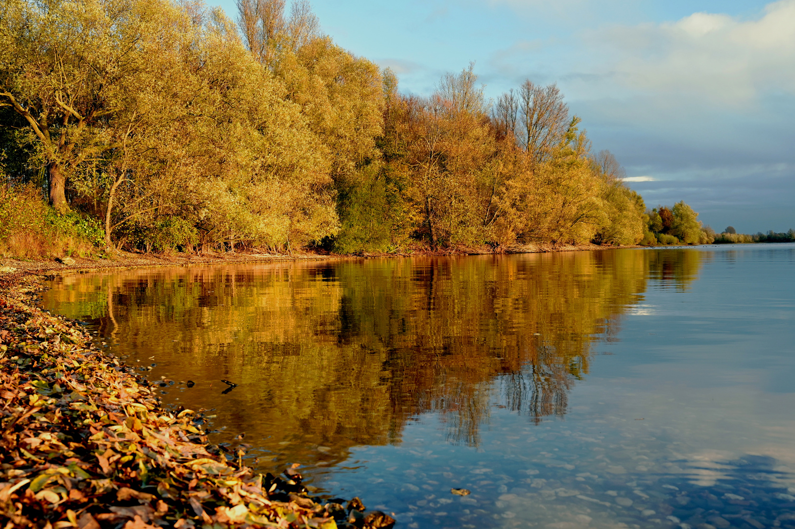 Seeufer im herbstlichen Abendlicht