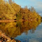 Seeufer im herbstlichen Abendlicht