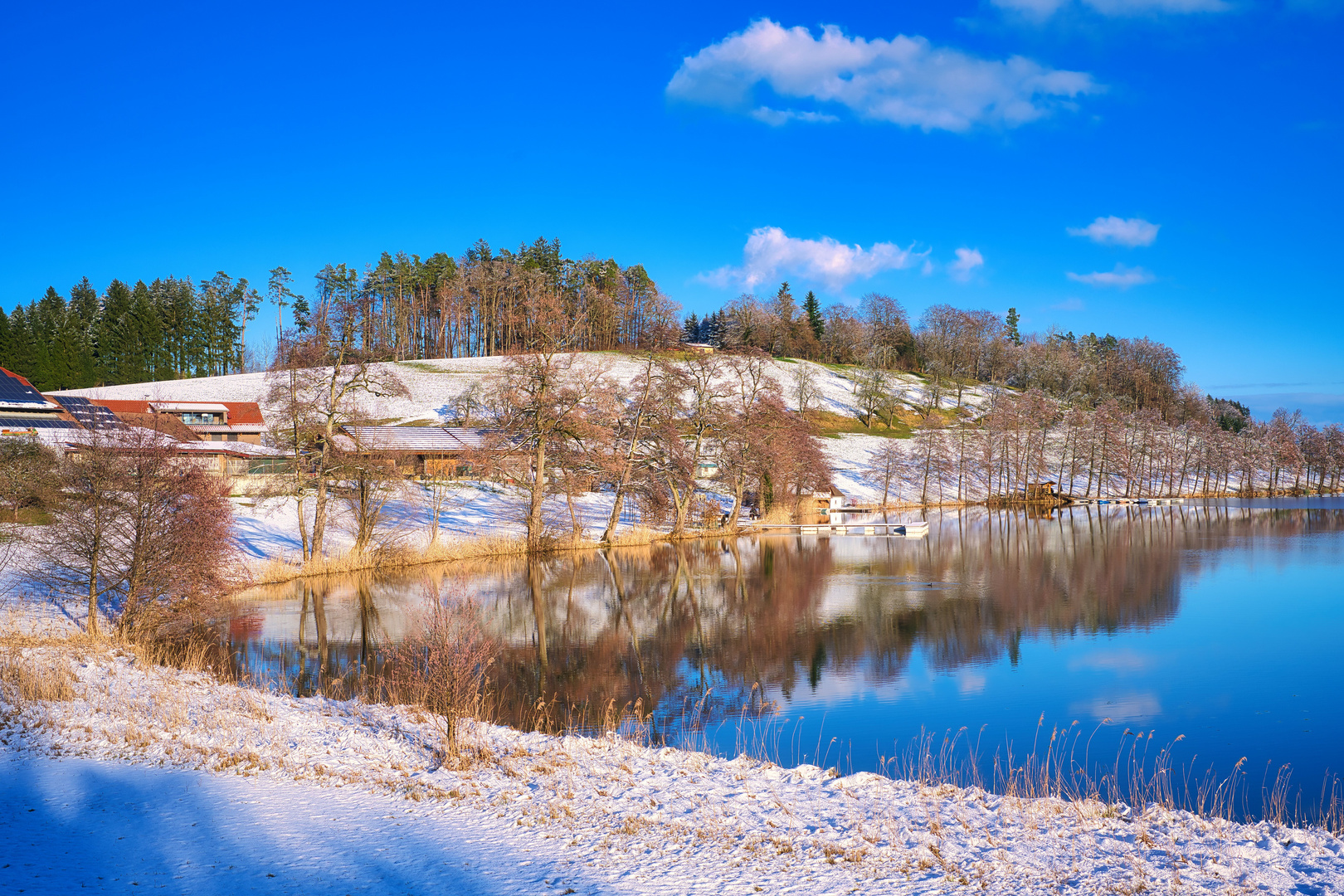 Seeufer im Winter