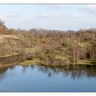 Seeufer "Silbersee"