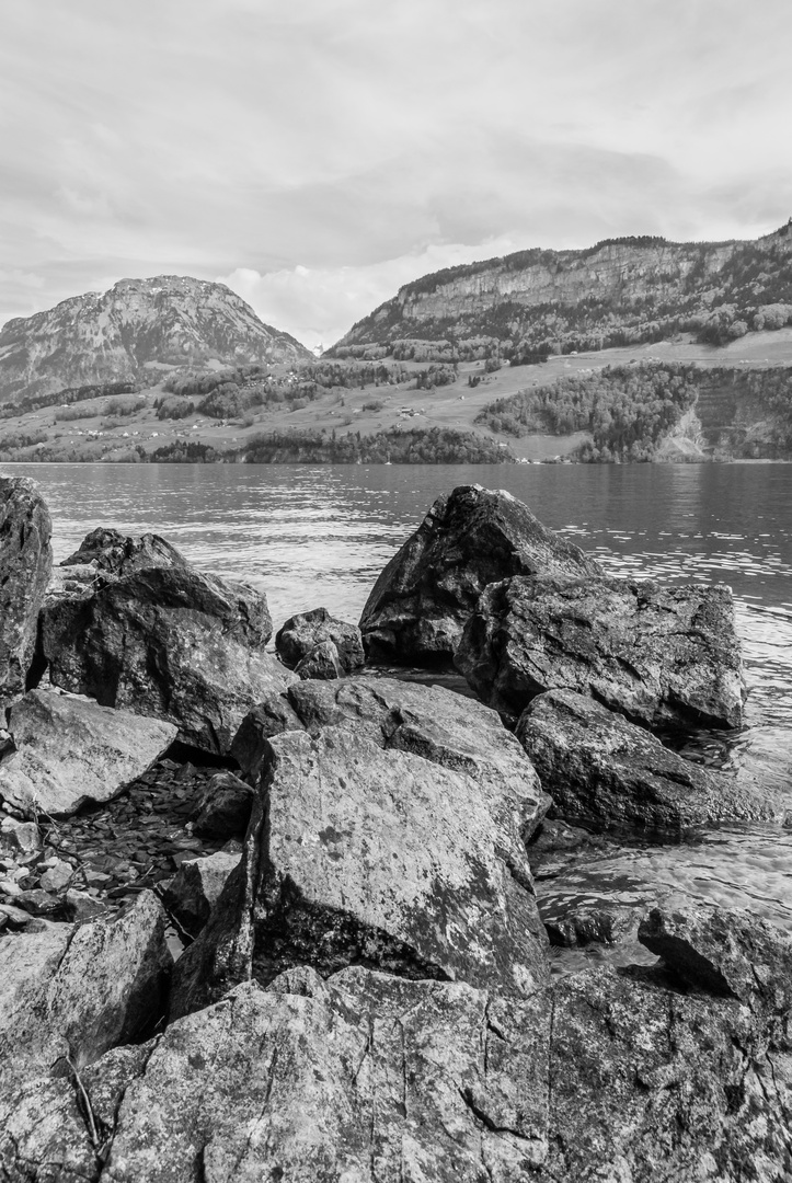 seeufer vierwaldstättersee