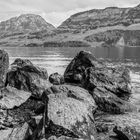 seeufer vierwaldstättersee