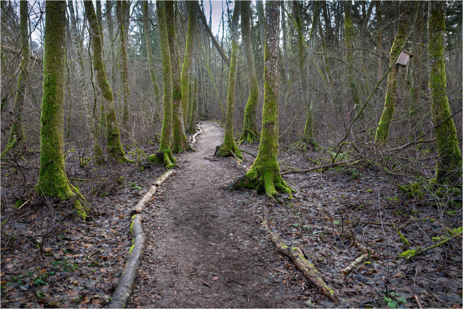 Seeumrundungs-Weg