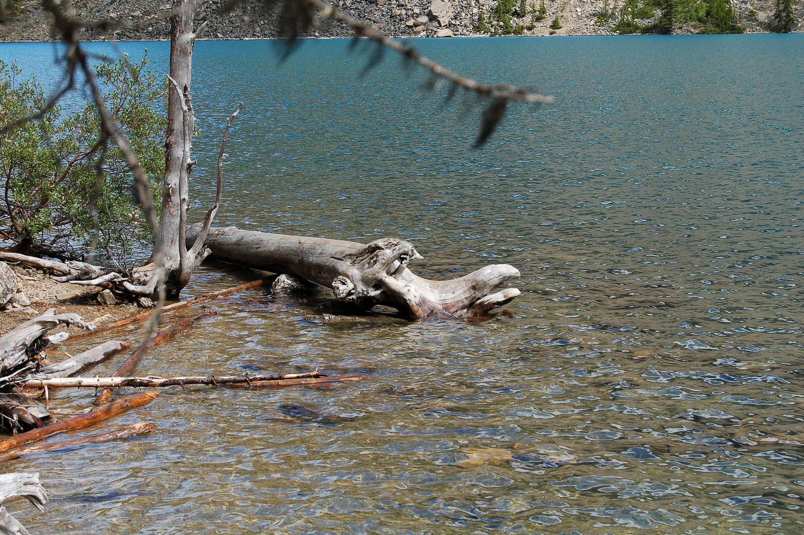 Seeungeheuer Foto & Bild north america, canada, the west Bilder auf Seeungeheuer Foto & Bild north america, canada, the west Bilder auf