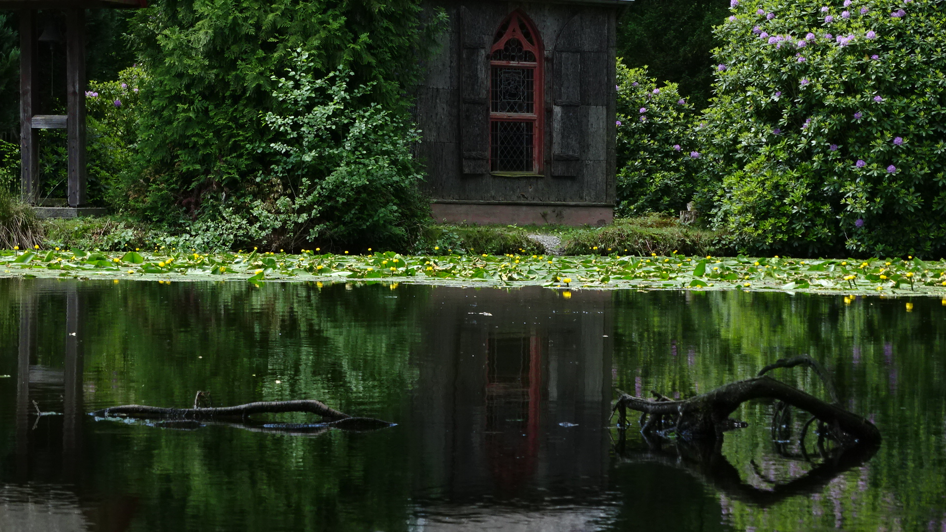 Seeungeheuer in einem wunderschönen Parkteich