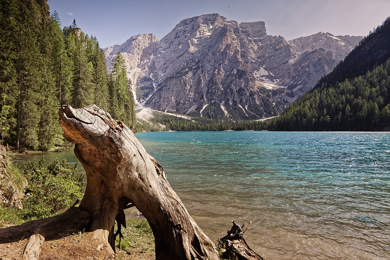 Seeungeheuer vom Pragser Wildsee