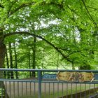 Seevebrücke bei Horst