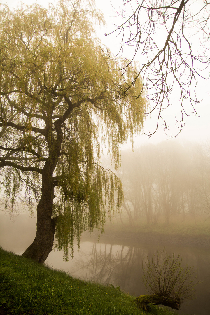 Seevemündung im Morgenebel II