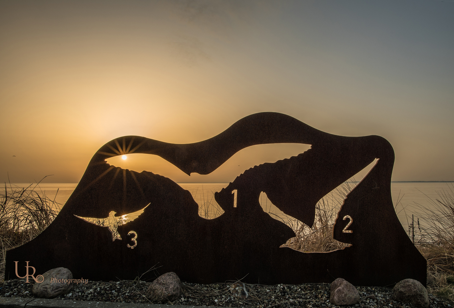 "Seevögel vor Sierksdorf" heißt die Tafel im Sonneaufgang