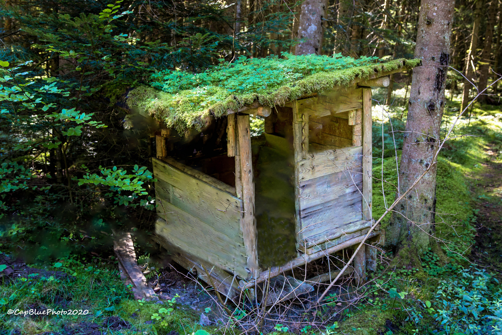 Seewald-Schernbach Kleine Hütte im Wald