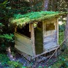 Seewald-Schernbach Kleine Hütte im Wald