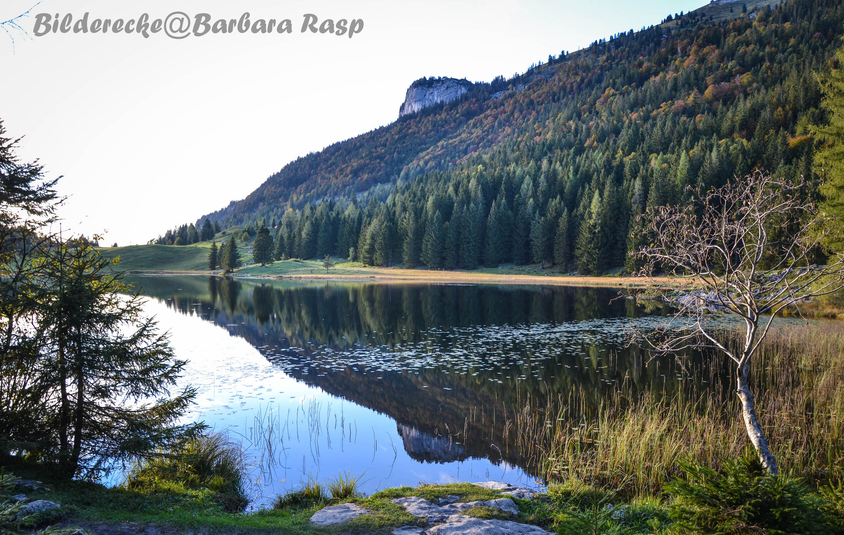 Seewaldsee