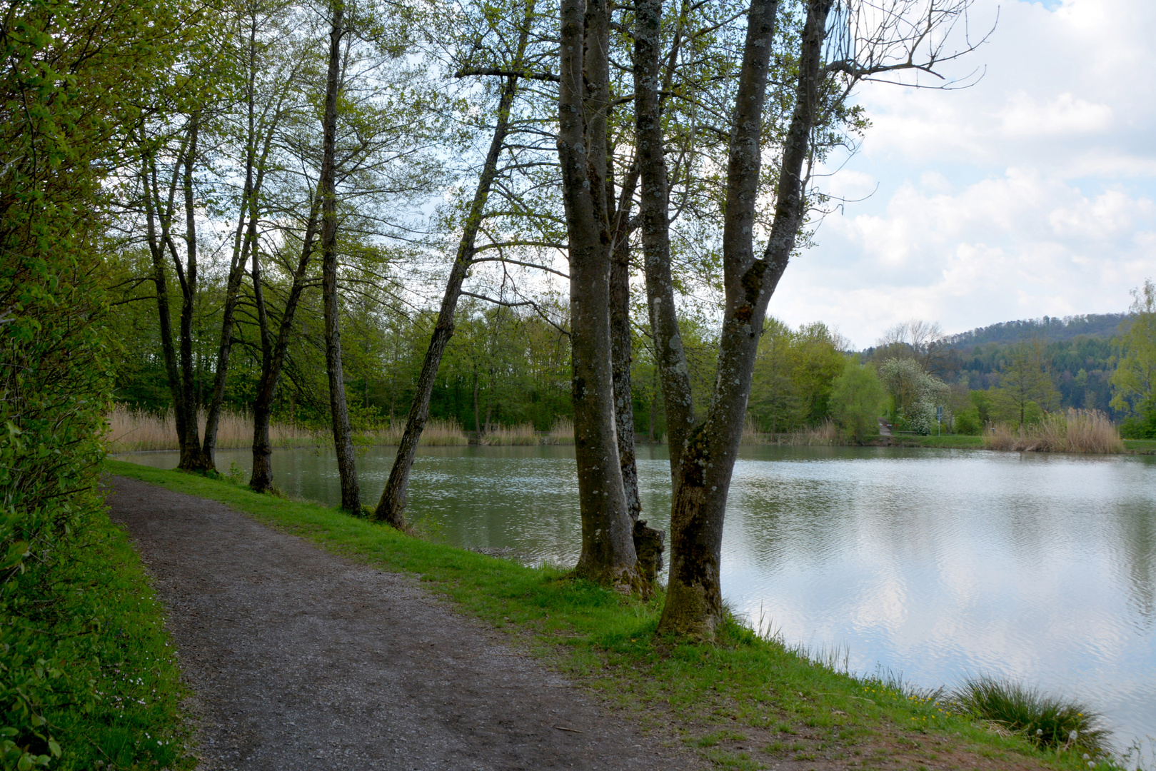 Seewaldsee