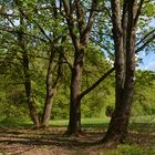 Seewaldsee