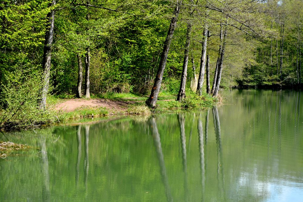 Seewaldsee