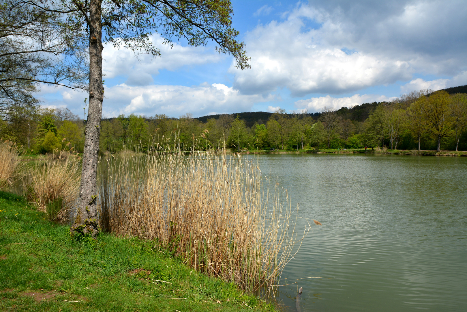 Seewaldsee