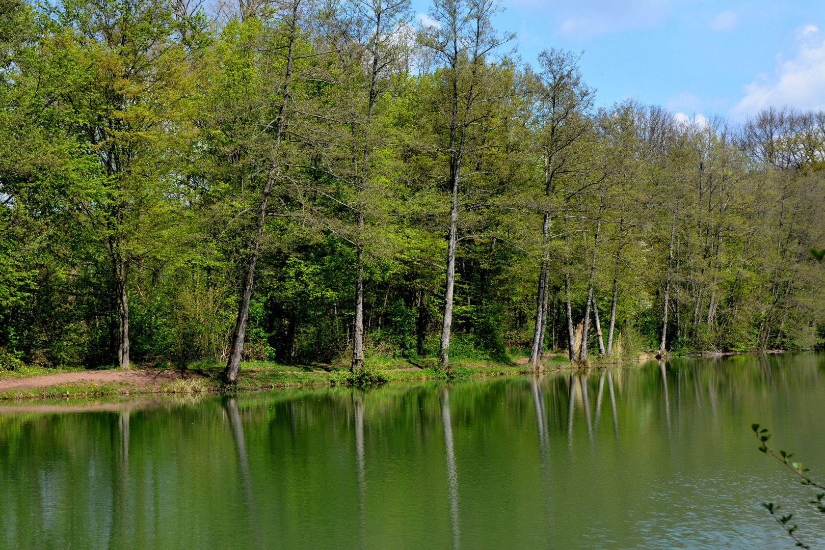 Seewaldsee