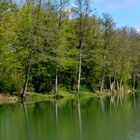 Seewaldsee