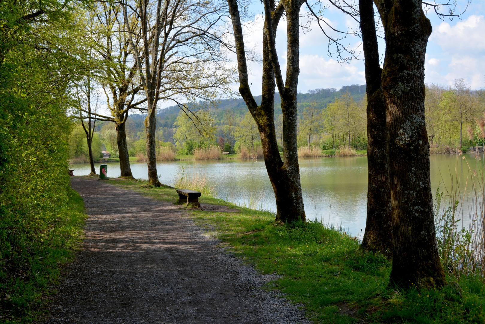 Seewaldseen