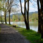 Seewaldseen