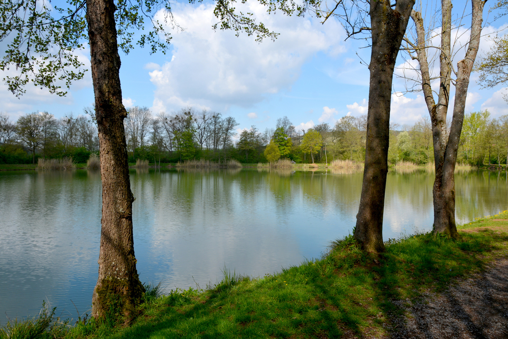 Seewaldseen