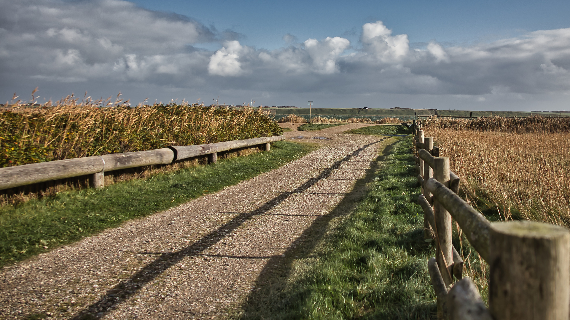 Seeweg  (Der Weg zum See)