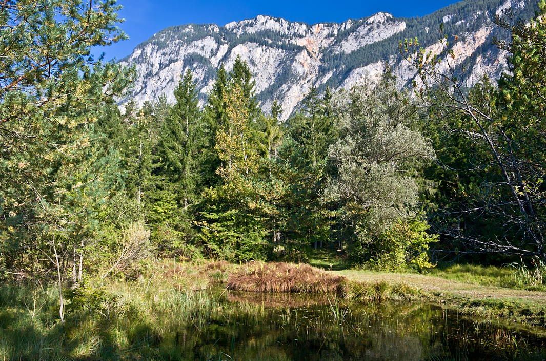 Seewiese am Dobratsch