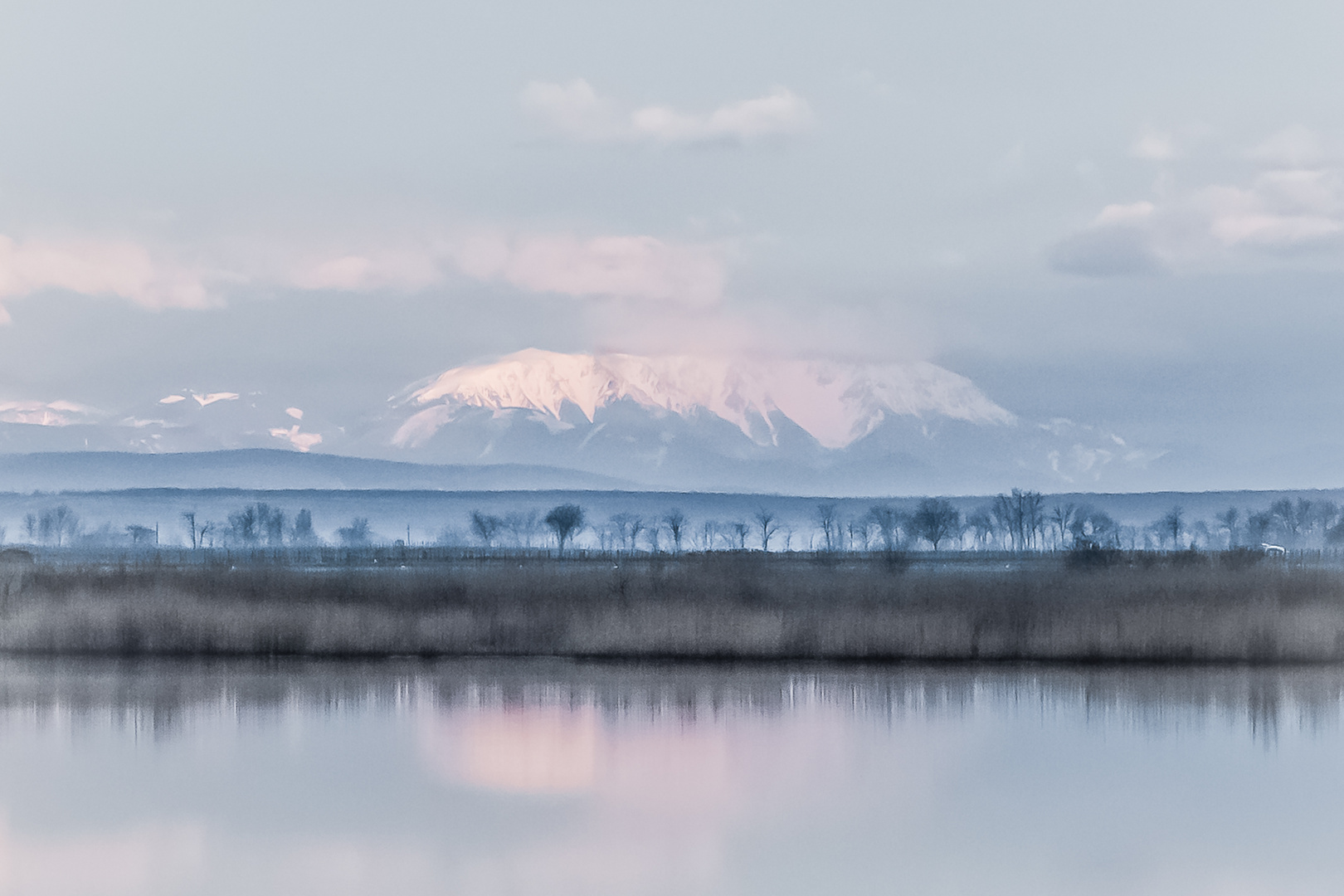 Seewinkel Burgenland im Frühjahr Richtung Schneeberg